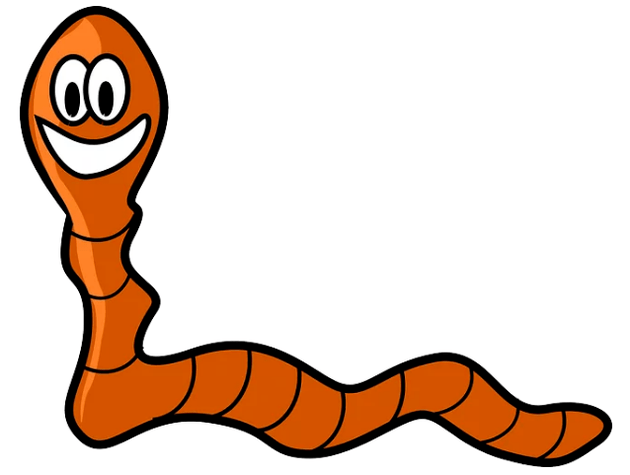 Pasożyty w twoim ciele