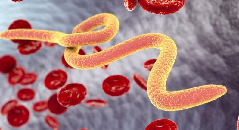 Organizmy pasożytnicze